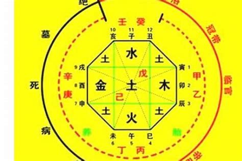 先天五行查詢|生辰八字算命、五行喜用神查询（免费测算）